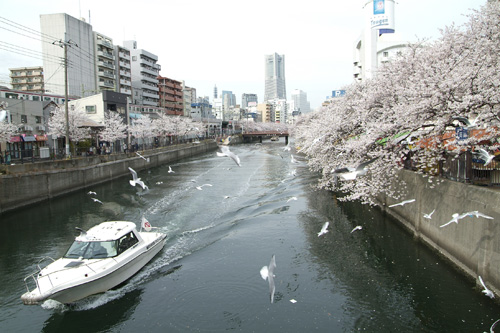 春の横浜