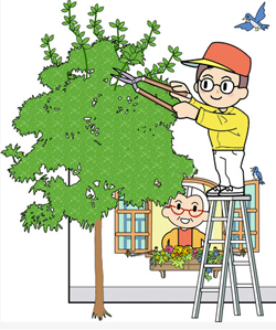 植木剪定１本から、便利屋さんの庭仕事は臨機応変、剪定、除草、不用品 ...
